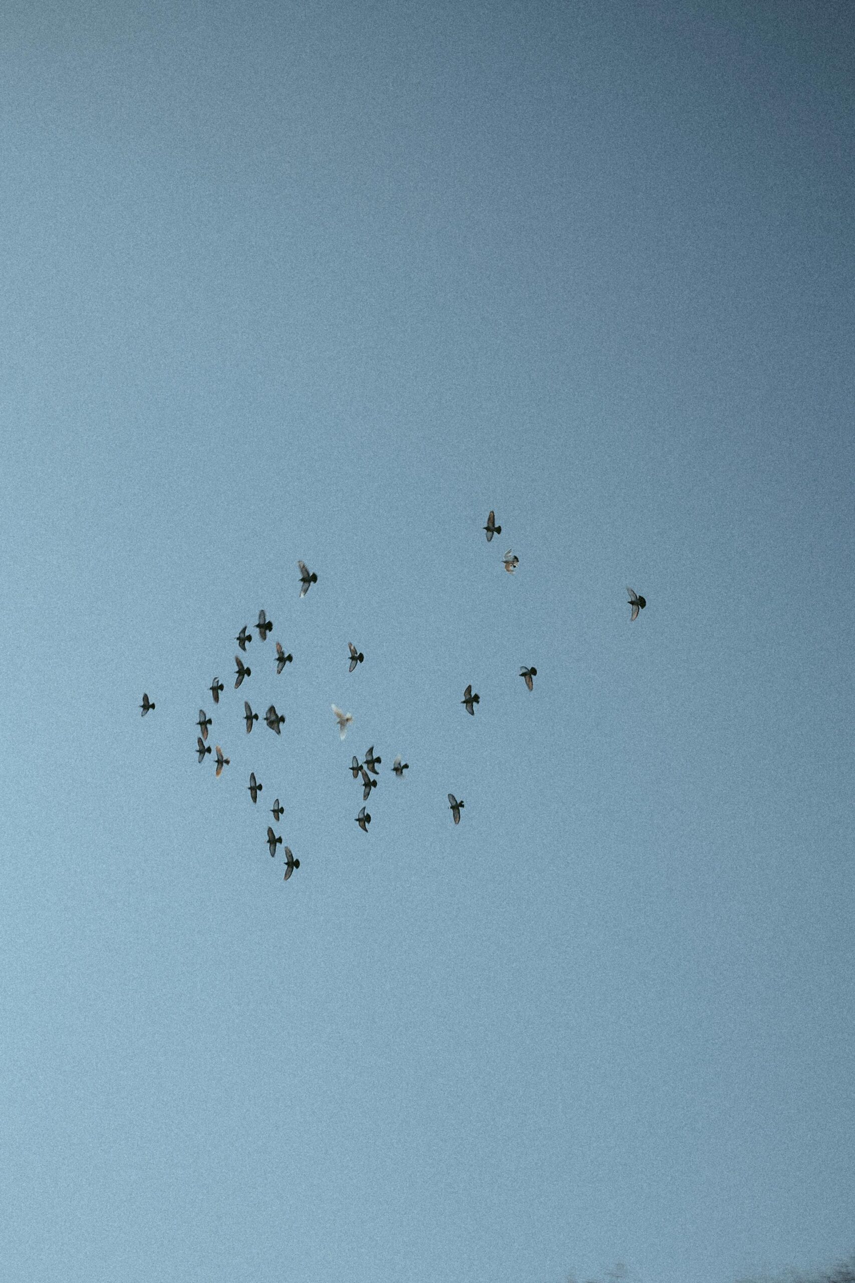 bazen-vazgecmek-gerekir